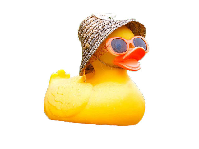 Festival Duck